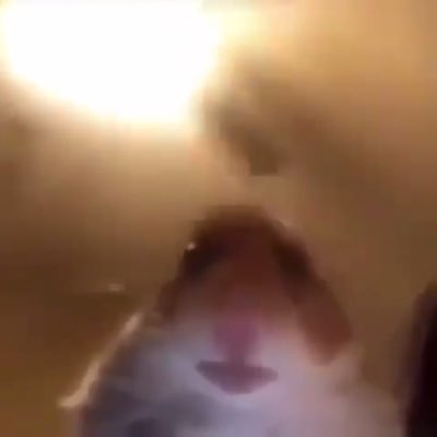 Profile Picture of Rape (@DrewVapes) on Twitter