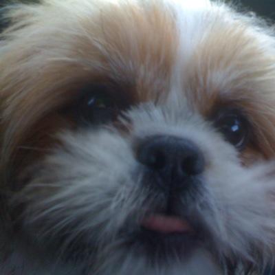 Profile Picture of Barry Cain (@BarryCain6) on Twitter