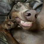 Profile Picture of Logan McFadden (@Logan-McFadden) on Facebook