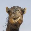 Profile Picture of marleydavey (@marleydavey) on Tiktok