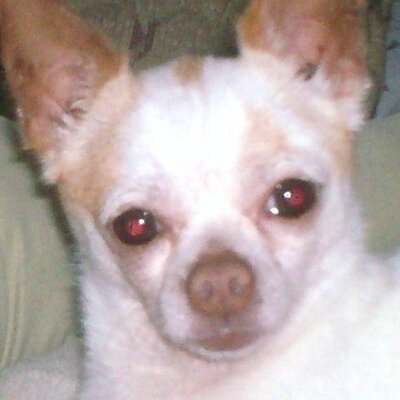 Profile Picture of Daniel Fluke (@daniel4294) on Twitter