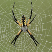 Profile Picture of Miles James (@milesjames9639) on Youtube