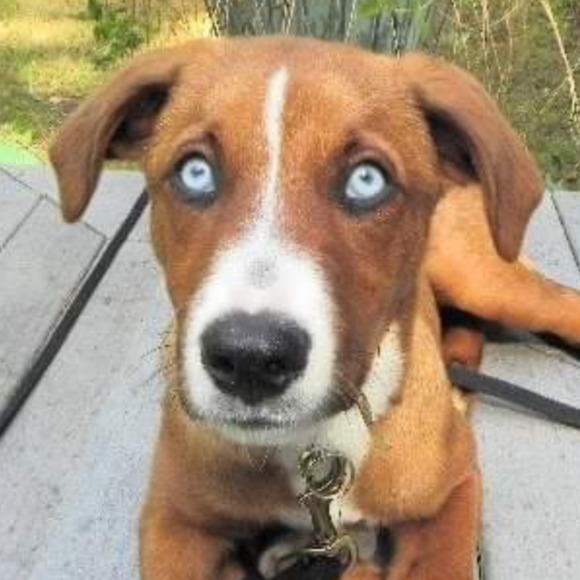 Schenley Klauer - Poshmark Profile Picture of Schenley Klauer (@cub500) on Poshmark