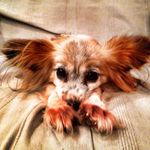 Profile Picture of Darren pennington (@yapyap1) on Instagram