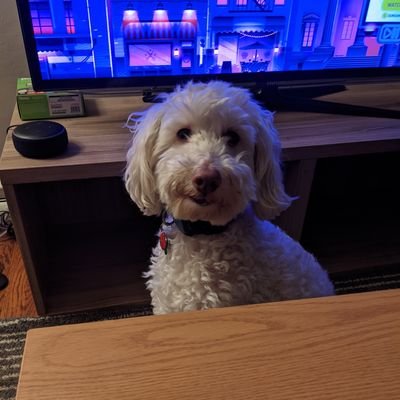 Profile Picture of Ben Ladner (@BenLadner2) on Twitter