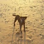 Profile Picture of Sonya Schulz (@schulzsonya) on Instagram