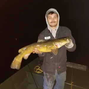 Profile Picture of Mark Stelter Bruehah (@markstelterbruehahn) on Tiktok