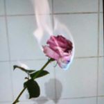 Profile Picture of trista cooper (@trista.cooper) on Instagram