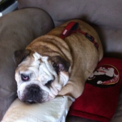 Profile Picture of Nicholas Rider (@NickJRider) on Twitter