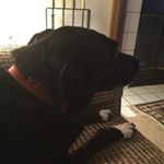 Profile Picture of Cheryl Reimer (@cherylreimer) on Instagram