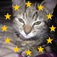 Profile Picture of Maurice Morrison  (@maurice-morrison-24) on Quora