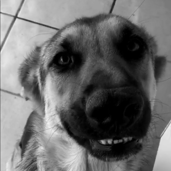 Randall Lopez - Poshmark Profile Picture of Randall Lopez (@rjlopez89) on Poshmark