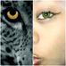 Profile Picture of Anna Koch (@anna.koch.71697092) on Facebook