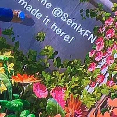 Profile Picture of Chase Hafner (@HafnerChase) on Twitter