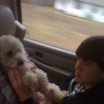 Profile Picture of Bryan Howell (@bryan_howell) on Instagram