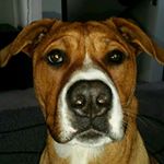 Profile Picture of Abbie Wallis (@floyd_0312) on Instagram