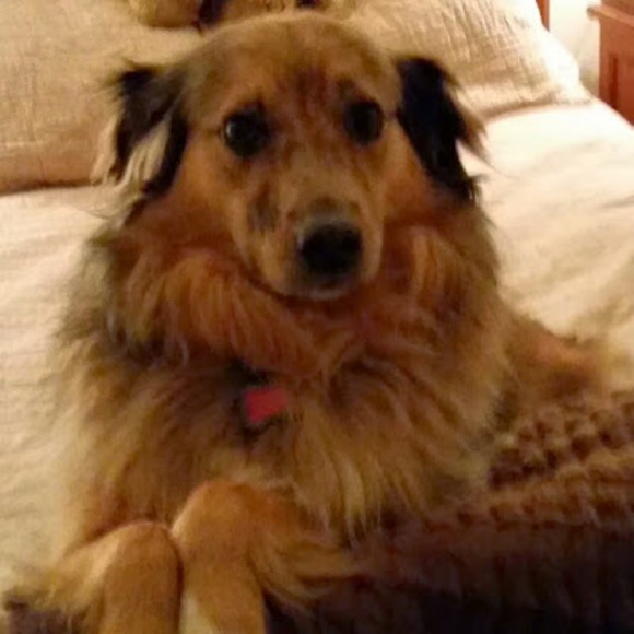 Profile Picture of Mark Kerr (@imarkkerr) on Poshmark