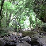 Profile Picture of Ernestina Rios (@ernestina.rios.393) on Instagram