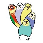 Profile Picture of 浅草綾 (@ayaasakusa) on Instagram