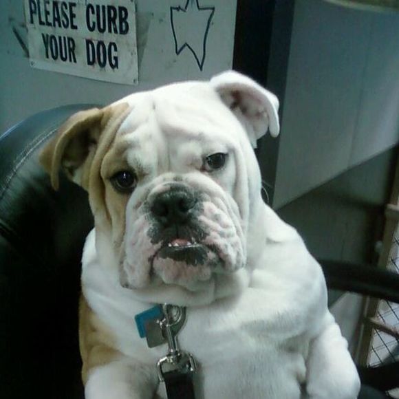 Jack Visciano - Poshmark Profile Picture of Jack Visciano (@jackvisciano) on Poshmark