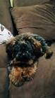 Profile Picture of   TikTok de Paula Zavala... (@pauandrea39) on Tiktok