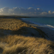 Profile Picture of Marram Film (@marramfilm6502) on Youtube