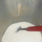 Profile Picture of joaco ferretti (@joako.ferrettiok) on Instagram