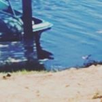 Profile Picture of jeff klein (@jeffklein8989) on Instagram