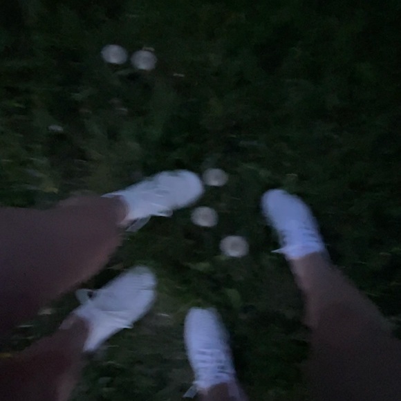 Profile Picture of Lily Hale (@lilyhale00) on Poshmark