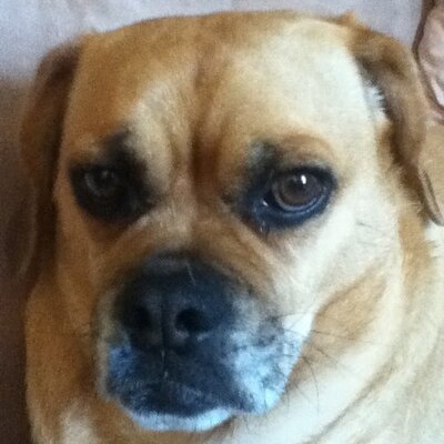 Profile Picture of Nick Fritch (@fritchnj) on Twitter