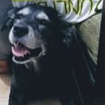 Profile Picture of Catherine Tobon Espinal (@ktherine.tobon) on Instagram