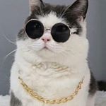 Profile Picture of Ariel Shepherd (@bbygrlshep) on Instagram