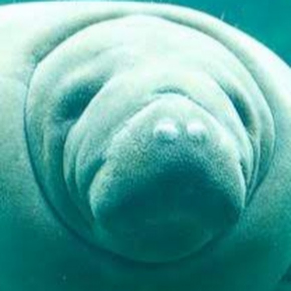 Profile Picture of Katie Prause (@katieprause) on Poshmark