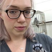 Profile Picture of Amanda Hamrick (@amanda-hamrick-3) on Quora