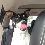 Profile Picture of Nathan Nathan Nathan (@cheneysnsa) on Instagram