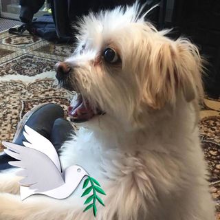 Profile Picture of Alex Forkosh (@alex.forkosh.63) on Facebook