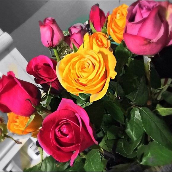 Nicole Stumbo - Poshmark Profile Picture of Nicole Stumbo (@lovecheer) on Poshmark