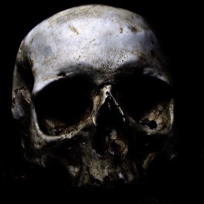Profile Picture of Maynard McCallister (@MccalisterMike) on Twitter