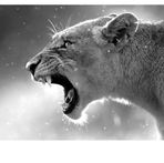 Profile Picture of Pauline Jacot (@pauline.jacot.7) on Facebook