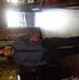 Profile Picture of Claudette Fields (@claudette.fields.71) on Facebook
