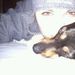 Profile Picture of Tonya Maczaczyj Mauk (@tpaw711) on Pinterest