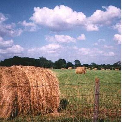 Profile Picture of Wade Gammon (@wadegammon) on Twitter