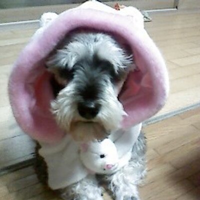 Profile Picture of Lee,Sunae (@Leesunae) on Twitter