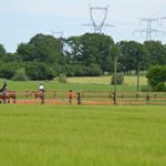 Profile Picture of Ecurie de Mécleuves (@cecile.arnaud.37) on Instagram