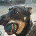 Profile Picture of Jay Robinson (@jay.robinson.10420) on Facebook