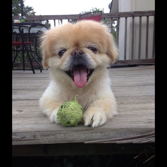 Profile Picture of Jada Beitelman (@beitelmam) on Poshmark