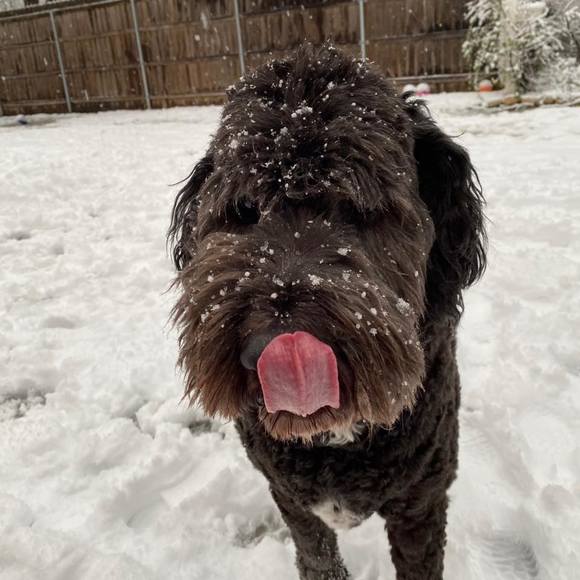 Profile Picture of Sarah Popham (@sjp09jb) on Poshmark