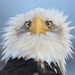 Profile Picture of Joseph Legocki (@jlegocki) on Pinterest