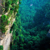 Martin Huang - Youtube Profile Picture of Martin Huang (@huanglaiqiang) on Youtube