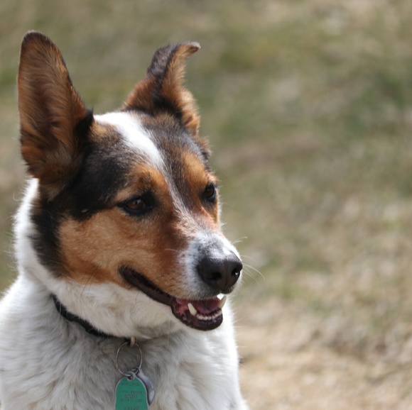 Nathan Doely - Poshmark Profile Picture of Nathan Doely (@doelynat000) on Poshmark